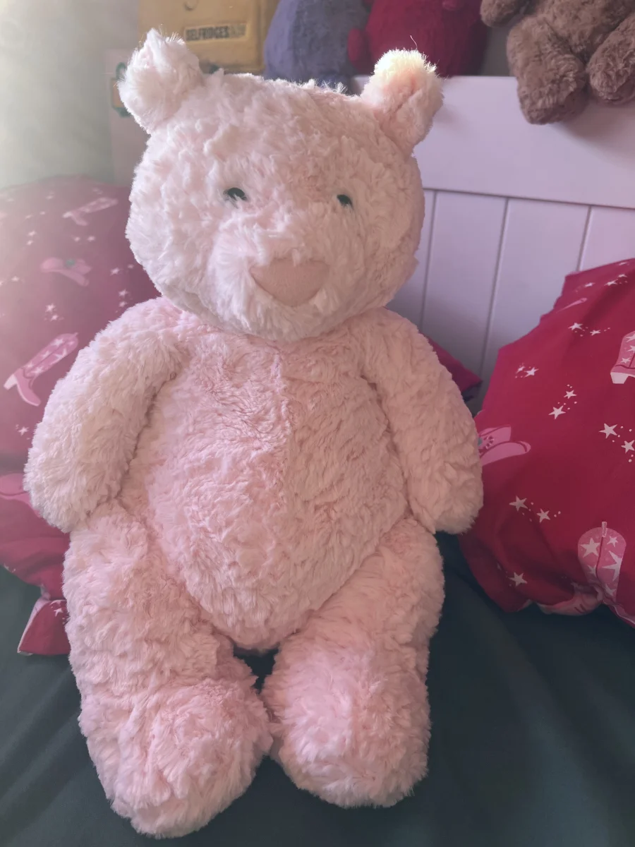 Front - Leola Bear - Large photo by Bluey0409