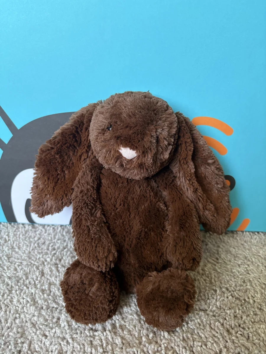 Front - Bashful Chocolate Bunny - Medium photo by jojokitty
