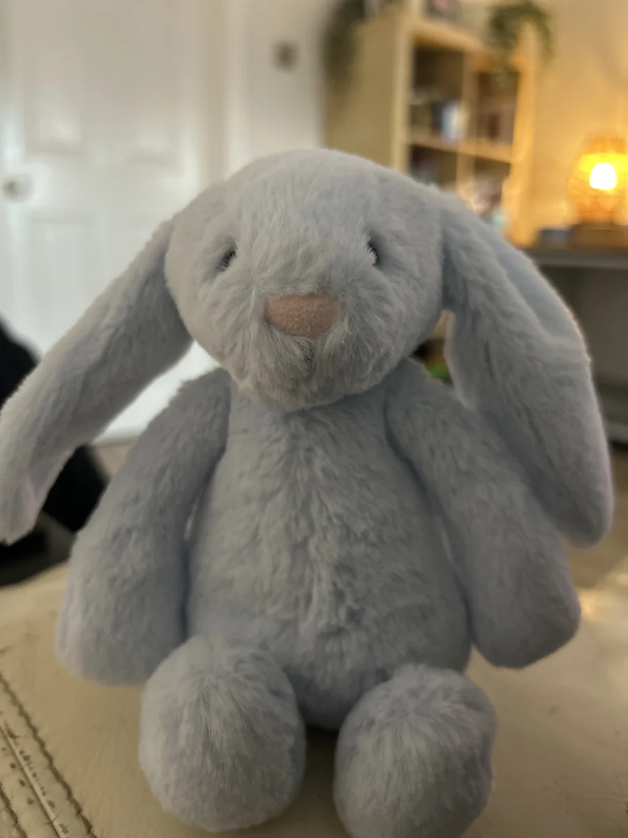 Front - Bashful Blue Bunny Rattle photo by Libs25