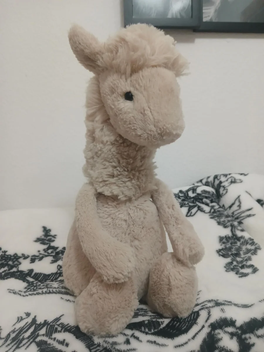 Side - Bashful Llama - Medium photo by Birdy