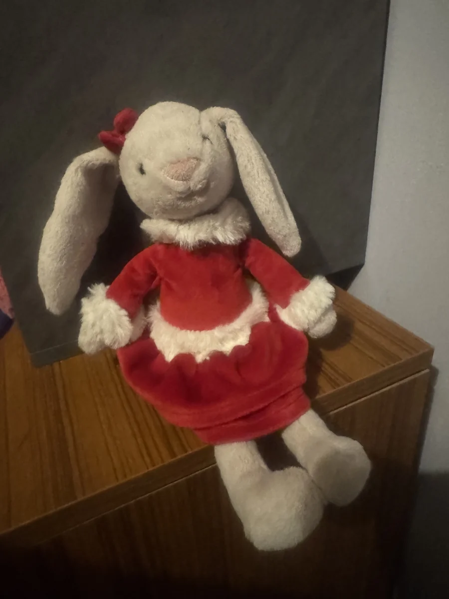 Front - Lottie Festive Bunny photo by Stilley