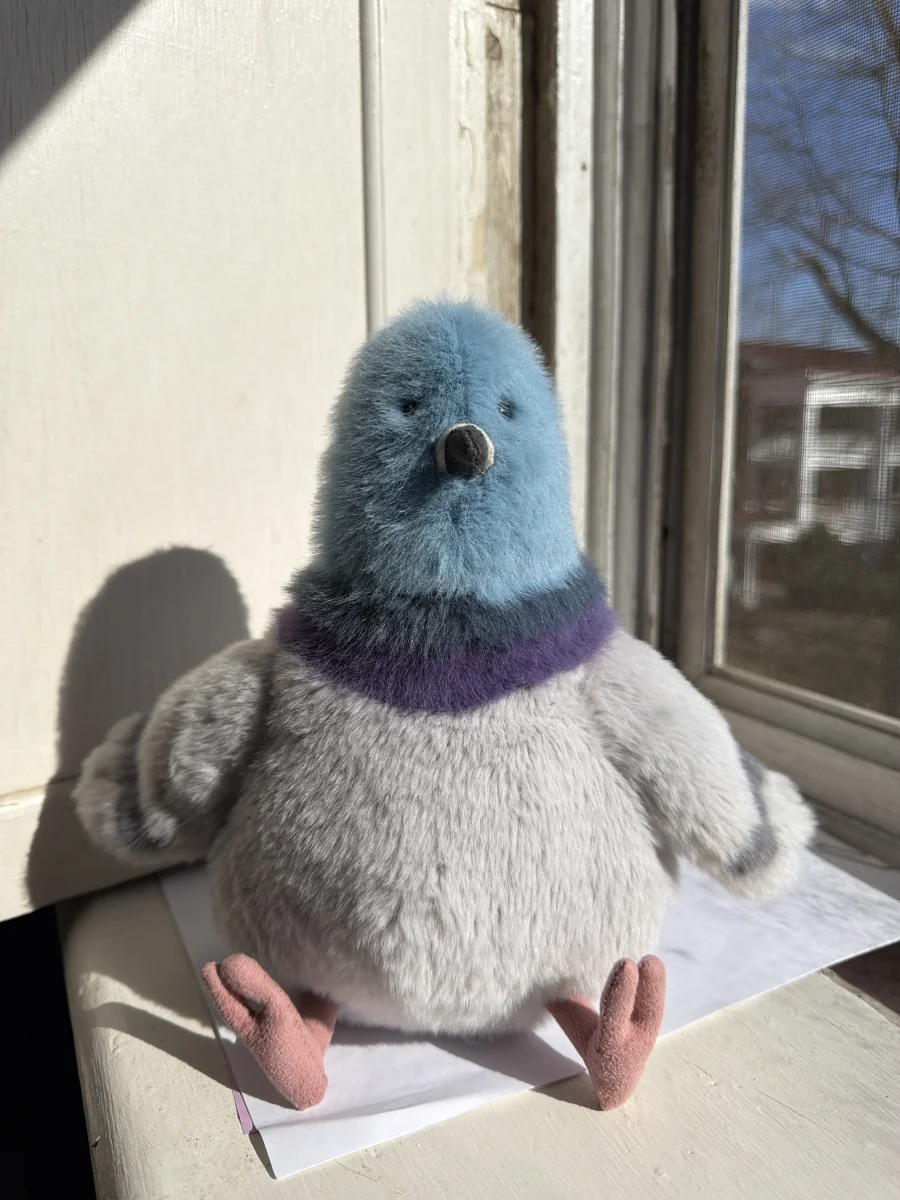 Strutton Strutton Pigeon 🇺🇸 Jellycat Photo by katsjellies | Jelly Journal