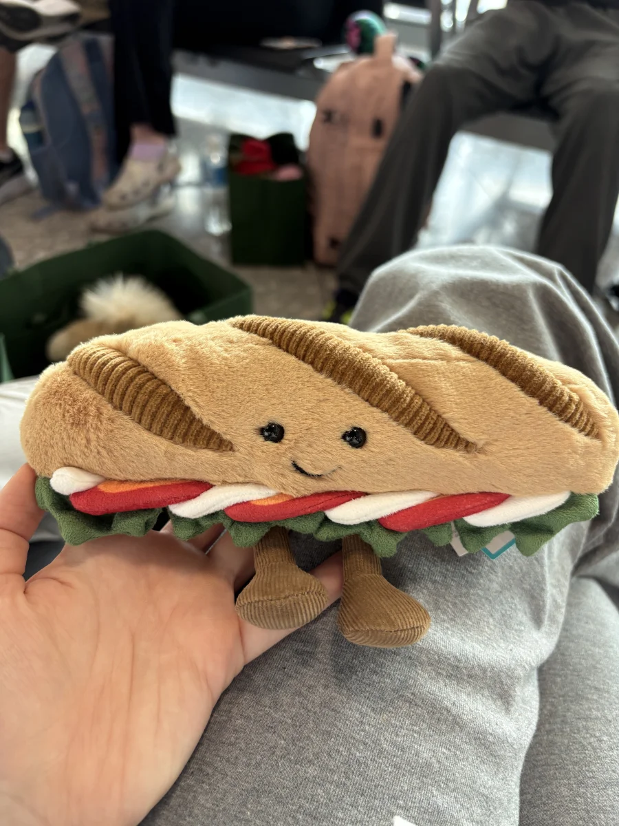 Front - Amuseables Caprese Baguette photo by Ehayden08