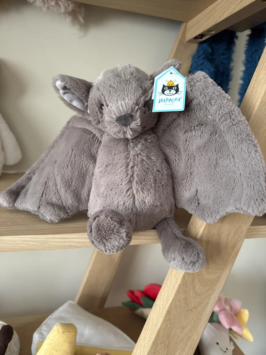 Front - Bashful Bat - Medium photo by Trace