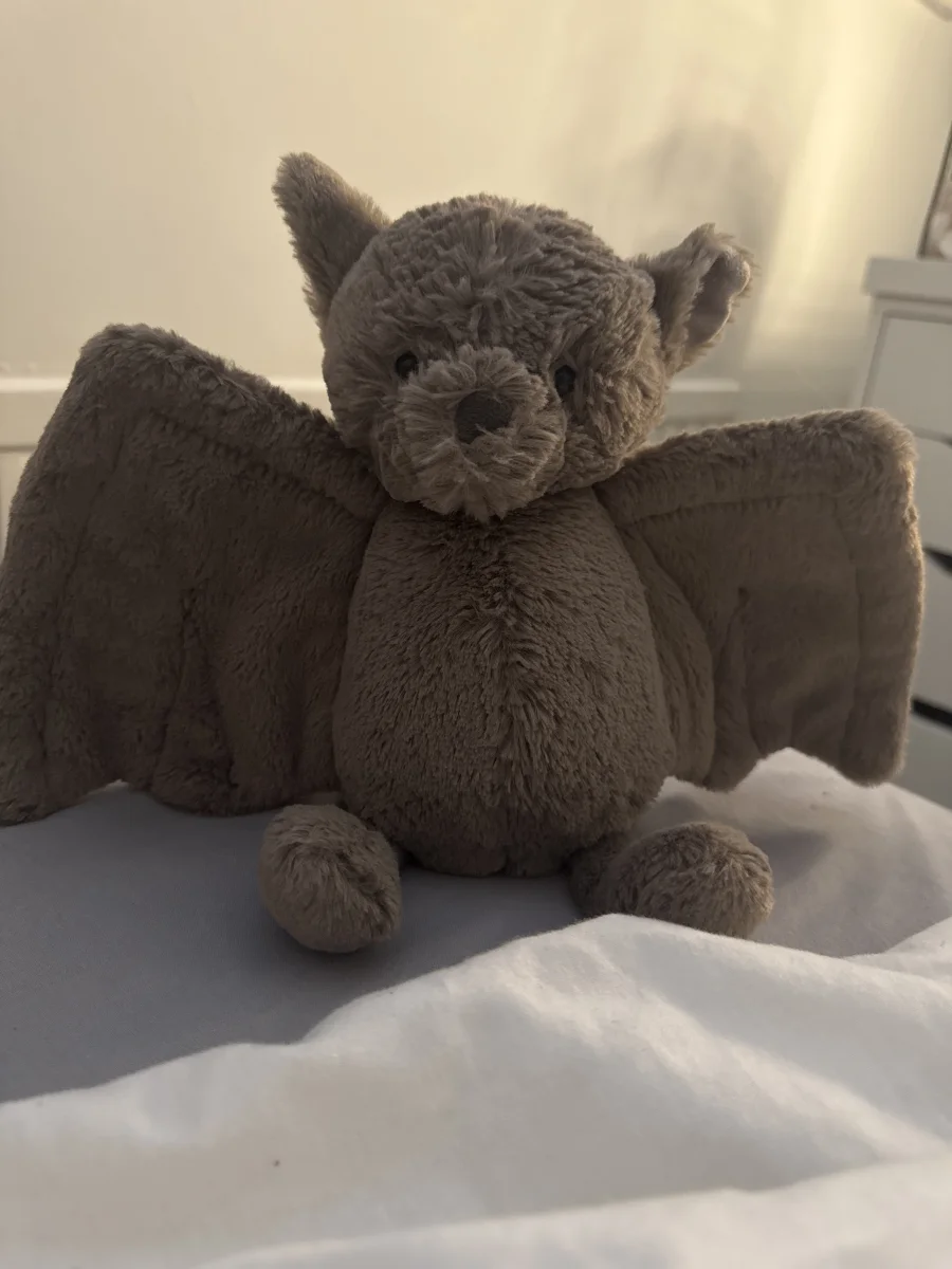 Front - Bashful Bat - Medium photo by TD