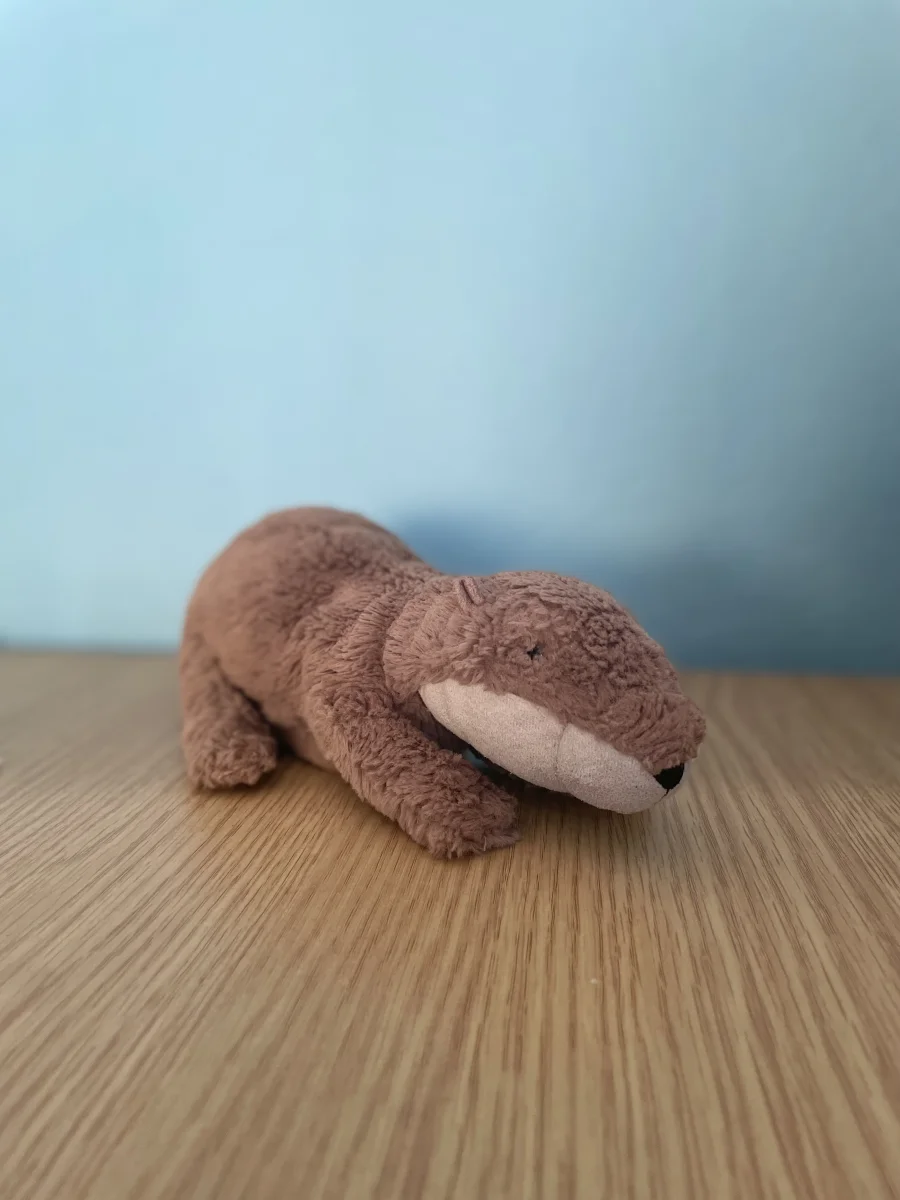 Front - Lollybob Otter photo by cerys.lyne