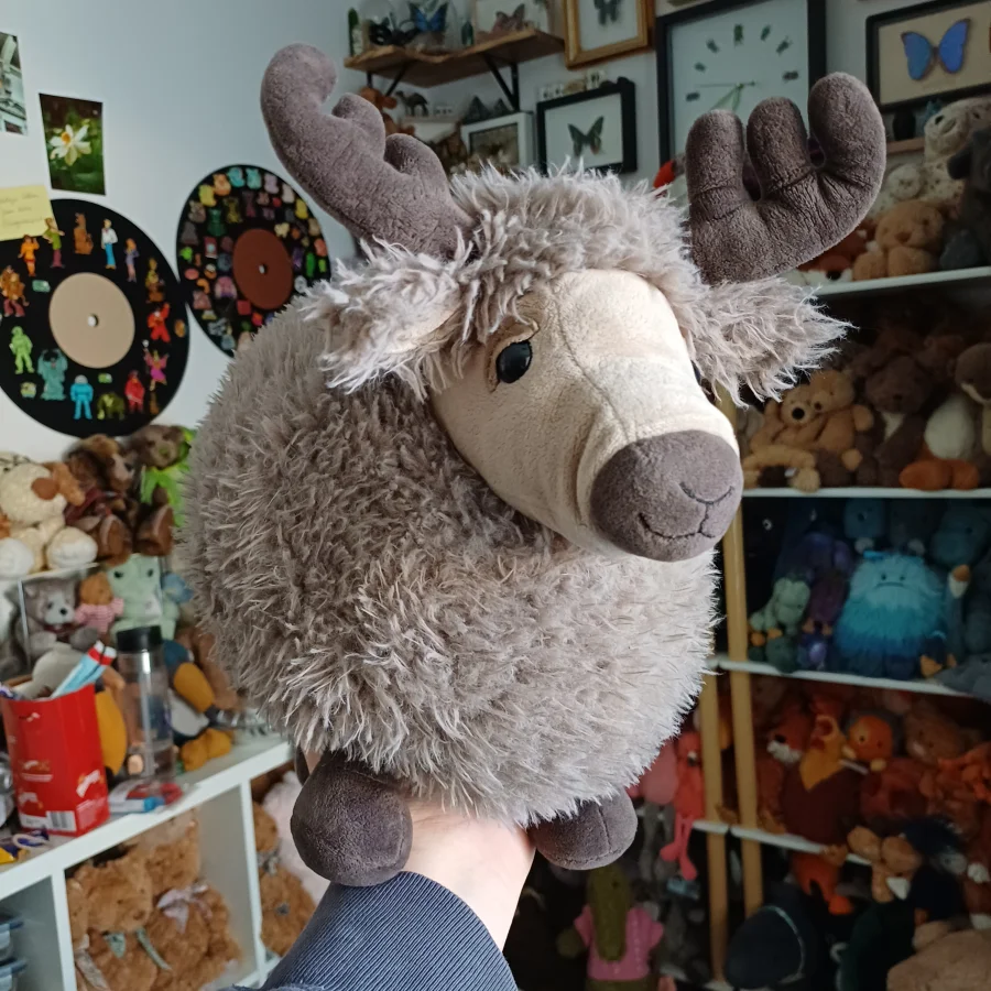 Front - Rolbie Reindeer - Large photo by herbgardenplush