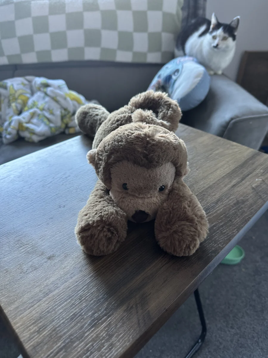 Front - Smudge Monkey - Medium photo by EmmaAnnexo