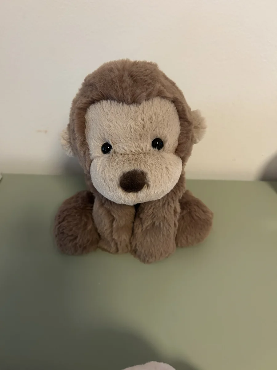 Front - Smudge Monkey - Medium photo by Martineee