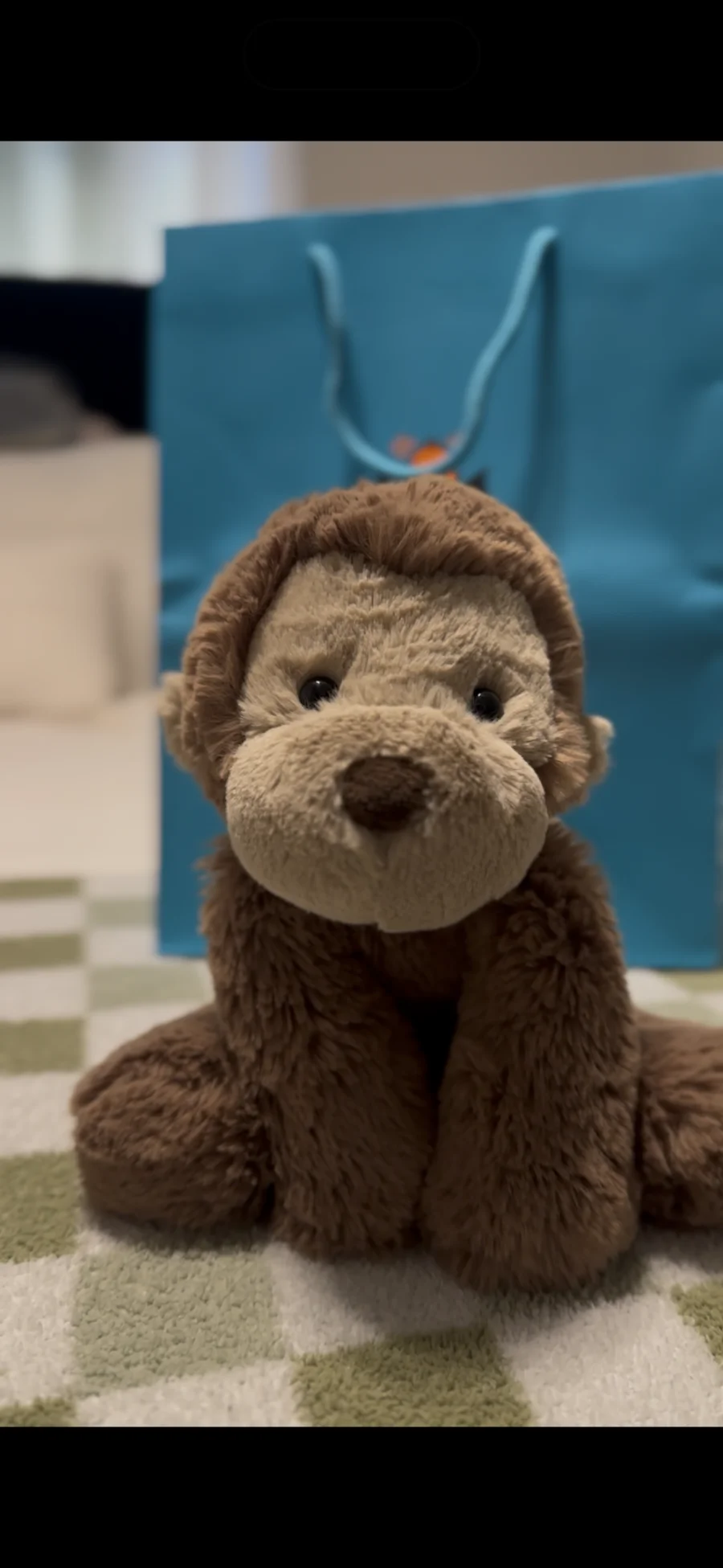 Front - Smudge Monkey - Medium photo by Kellebelle
