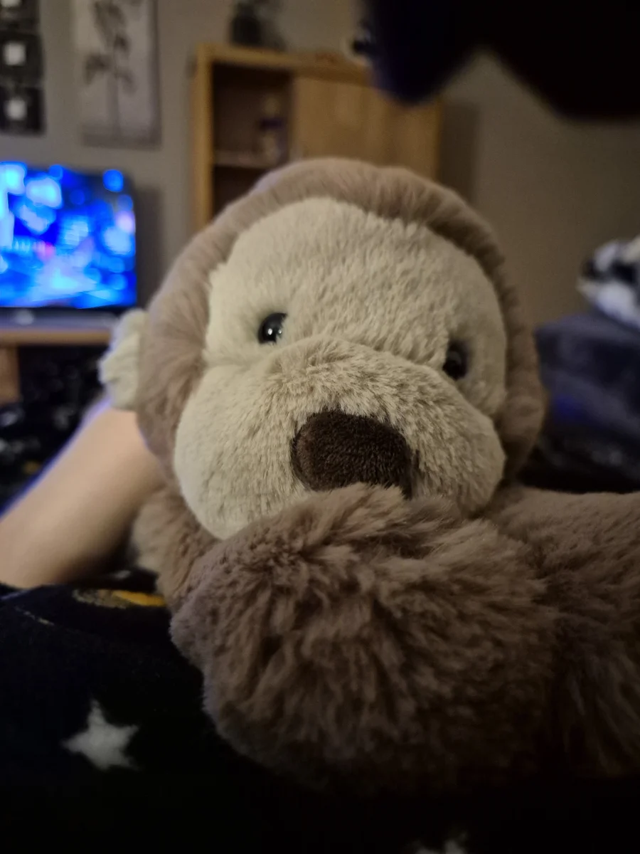 Front - Smudge Monkey - Medium photo by gelisplush