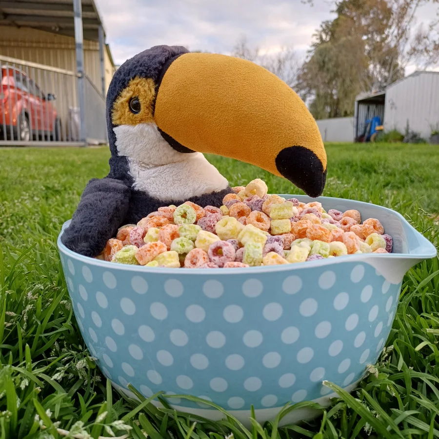 Lifestyle - Bashful Toucan photo by herbgardenplush