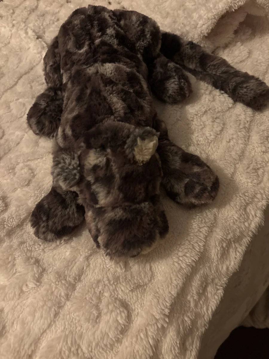 Tag - Lexi Leopard - Little photo by helenlouise27