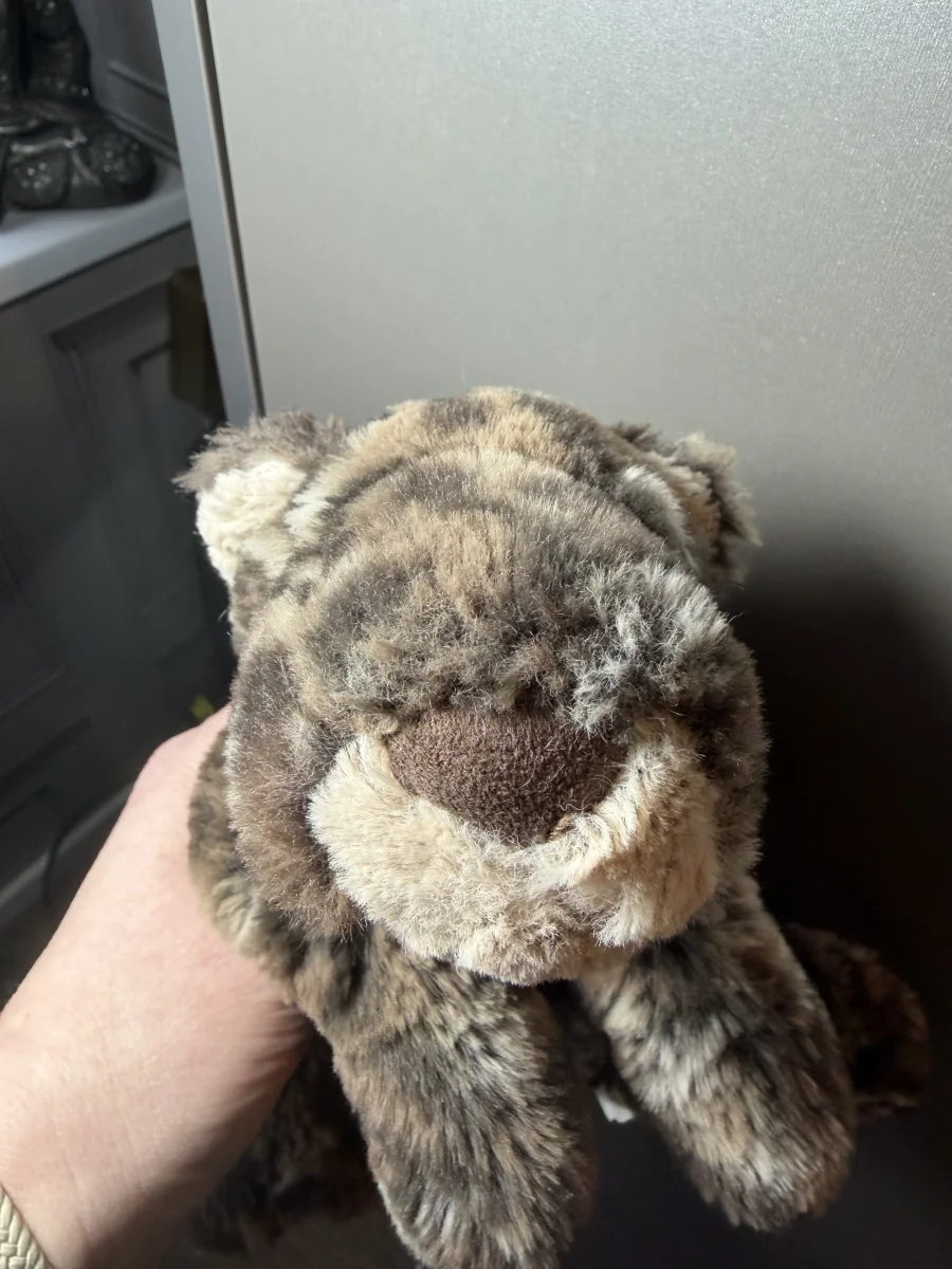 Front - Lexi Leopard - Little photo by andreacal2903_