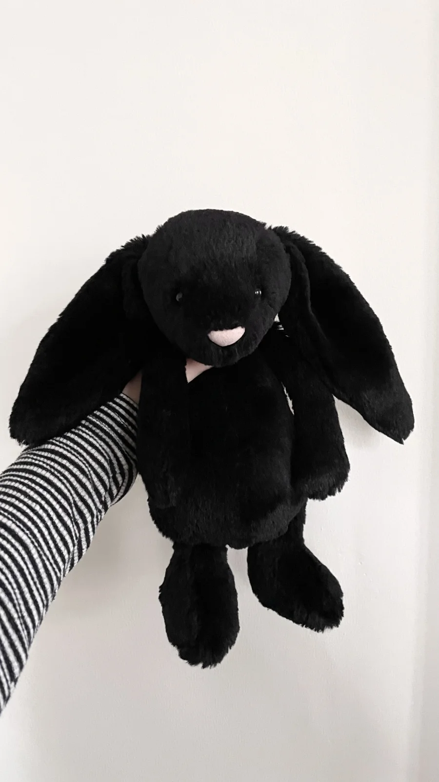 Front - Bashful Treacle Bunny - Medium photo by AboutBearsandBunnies