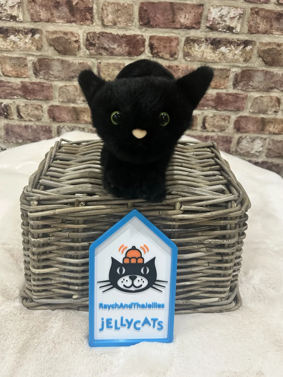 Front - Spookipaws Cat photo by Raychandthejellies