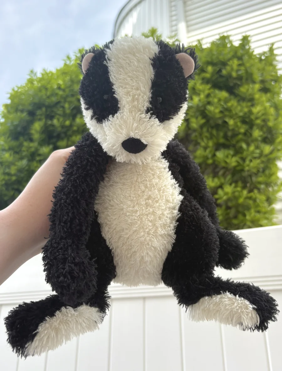 Front - Bertie Badger photo by kaleighsjellies