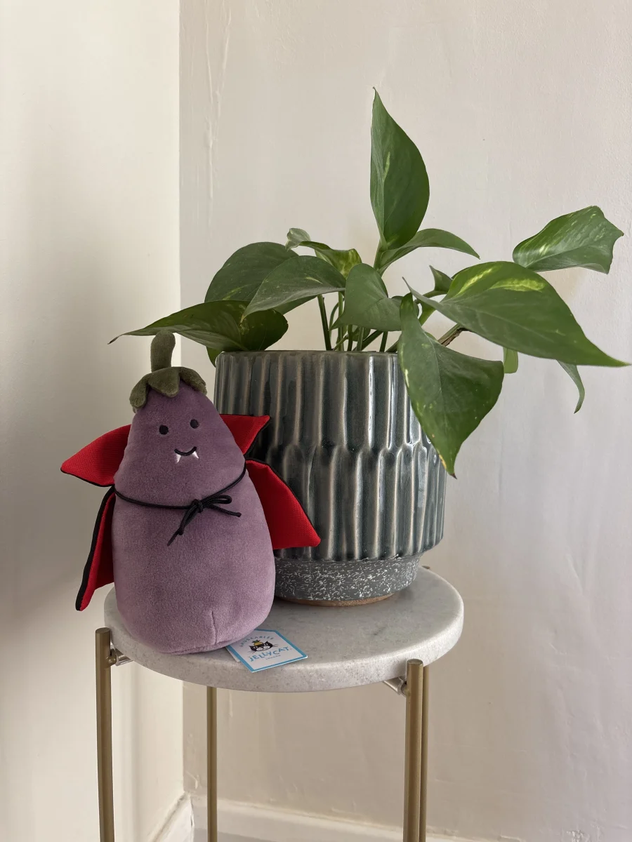 Front - Vivacious Aubergine Vampire photo by emerly