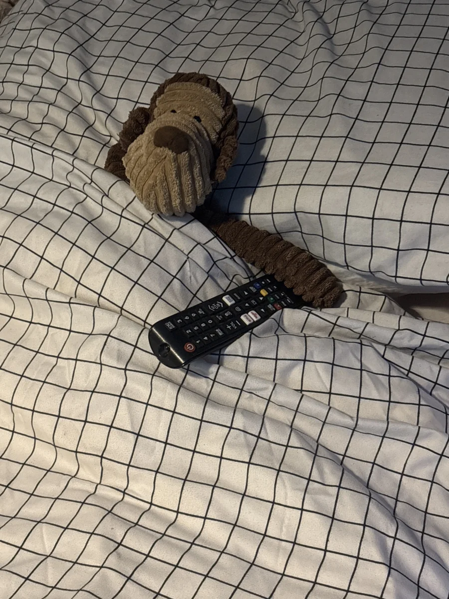 Lifestyle - Cordy Roy Monkey - Medium photo by Jamie51057
