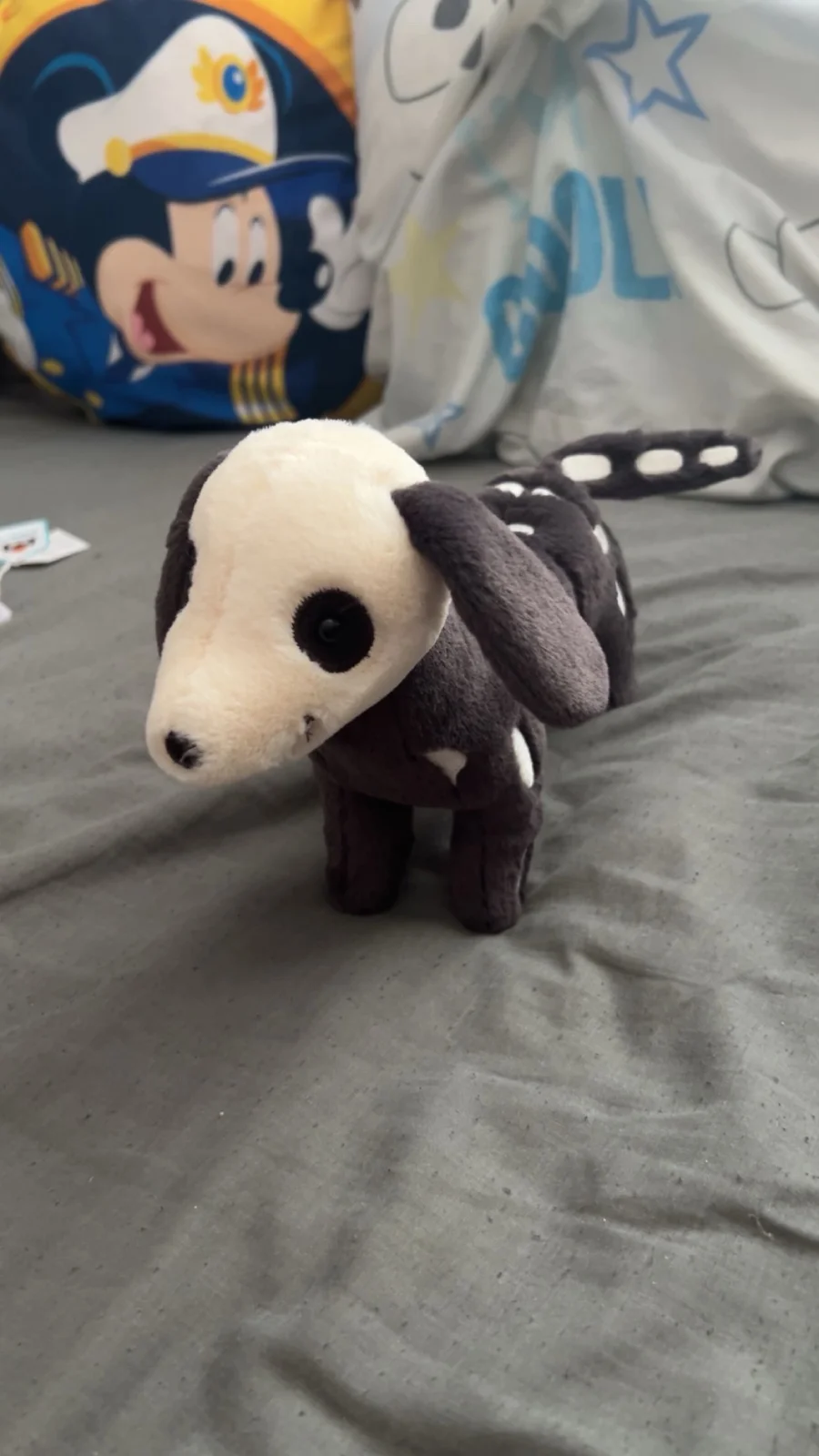 Front - Skeledog Dan photo by angel01