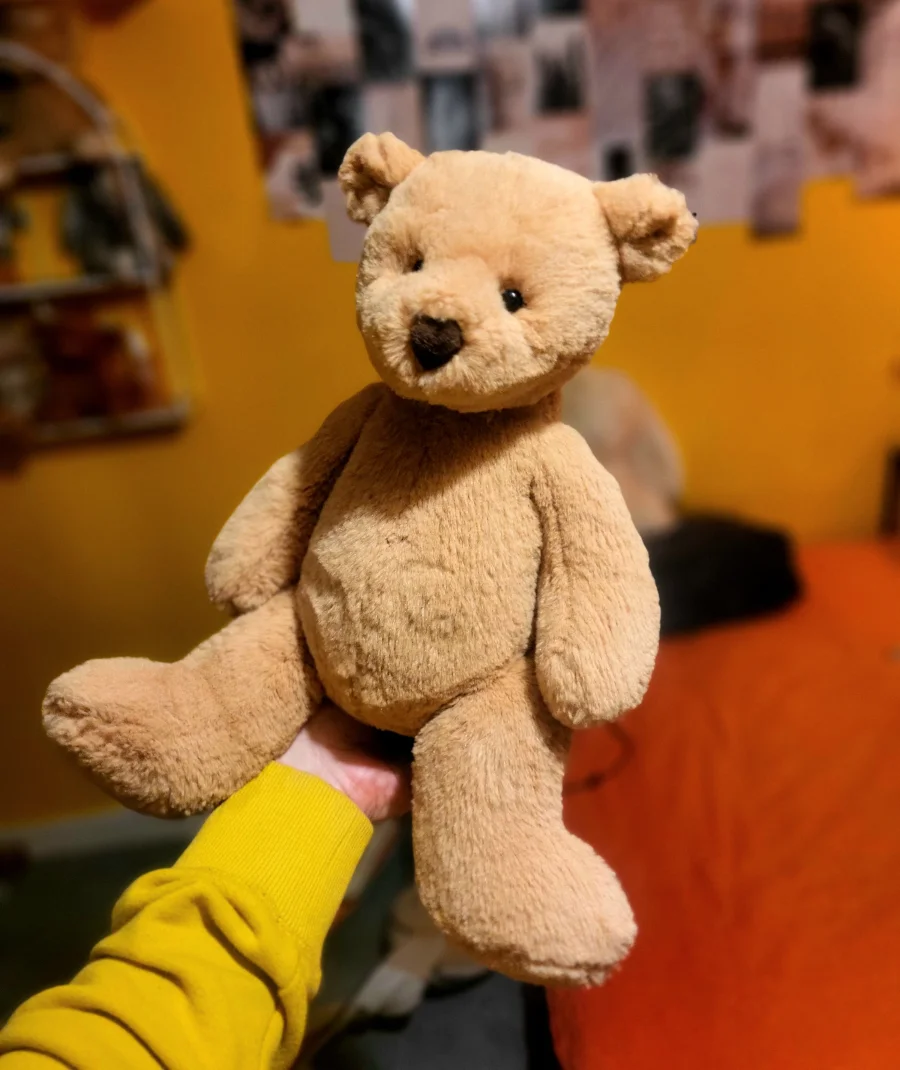 Front - Butterscotch Bear - Medium photo by Lowri