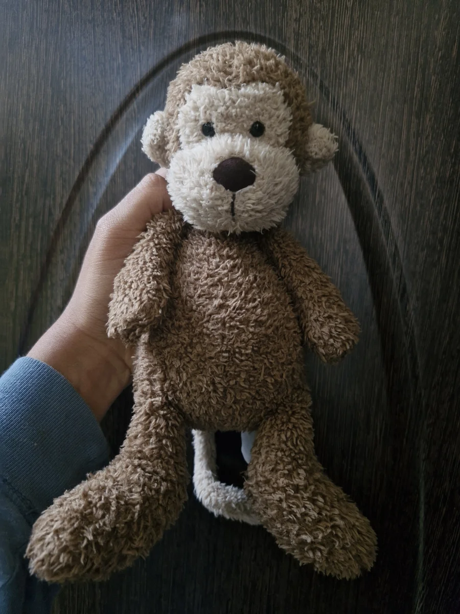 Front - Chouchou Monkey photo by my_menagerie
