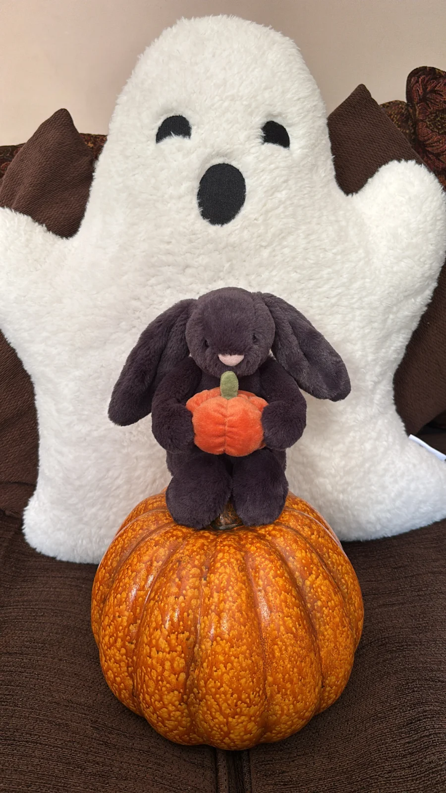 Front - Bashful Pumpkin Bunny photo by Jelly_Journey