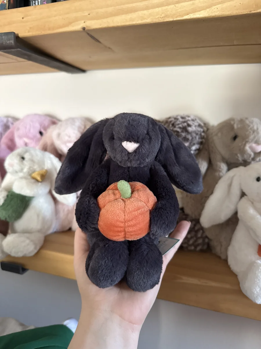 Front - Bashful Pumpkin Bunny photo by JellyElenJoy