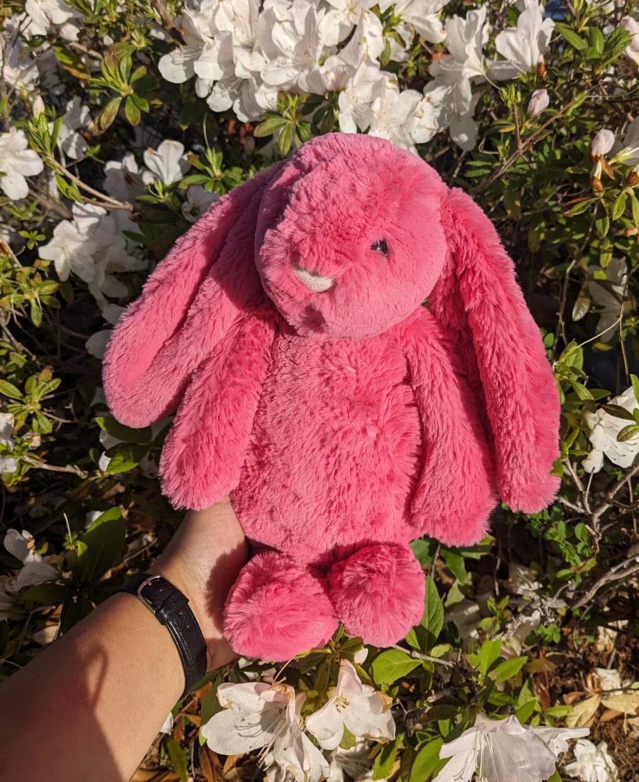Front - Bashful Strawberry Bunny - Medium photo by Snailcakes097