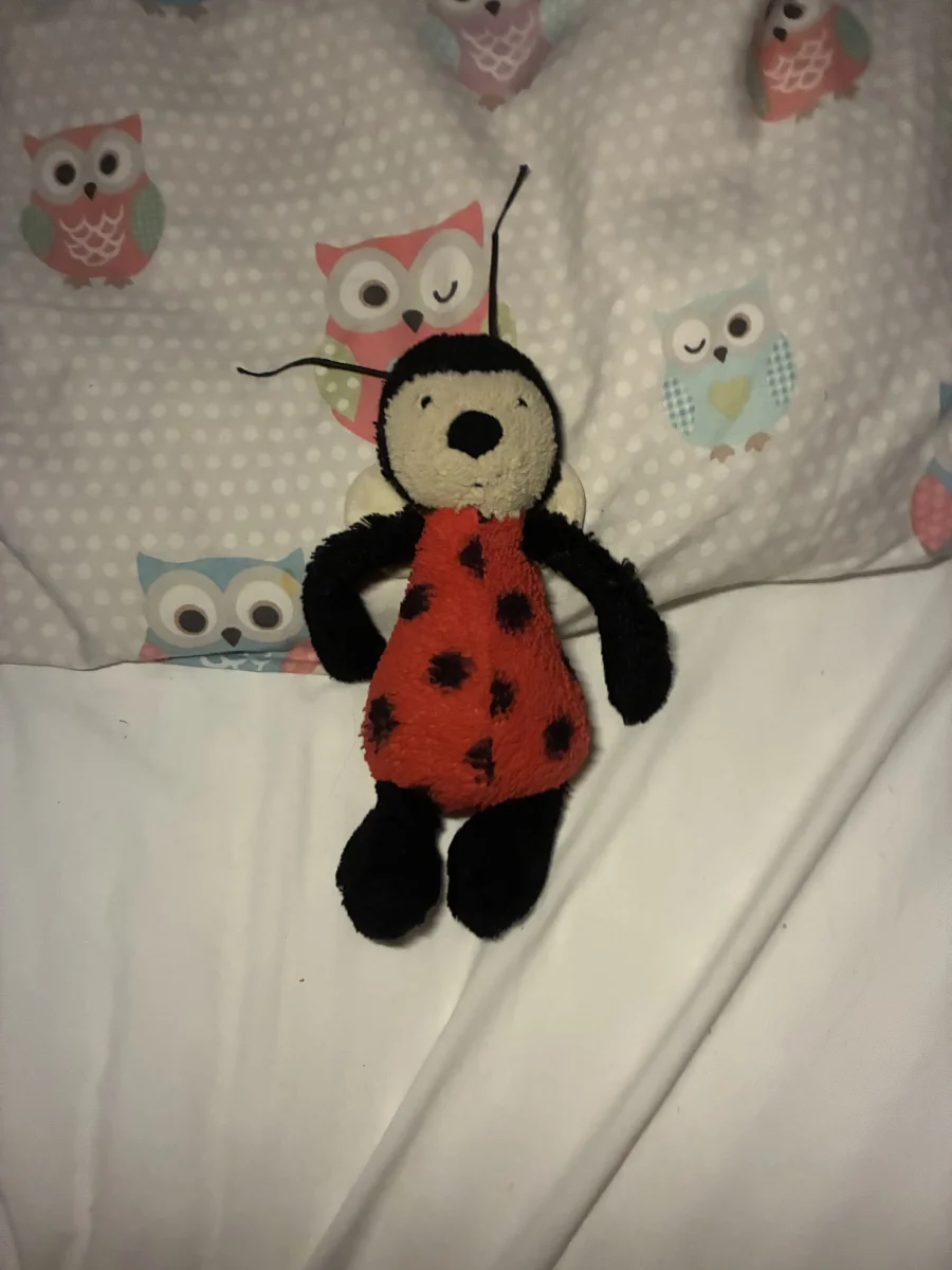 Front - Bashful Ladybug - Small photo by Paige_Aris