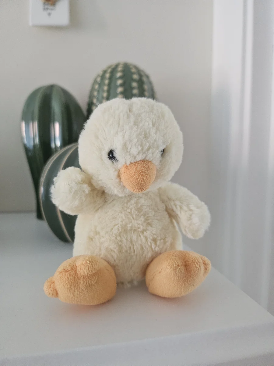 Front - Poppet Chick - Baby photo by Helen_94