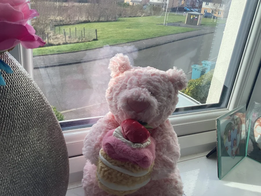Front - Leola Bear with Strawberry Cake photo by Jellygirly