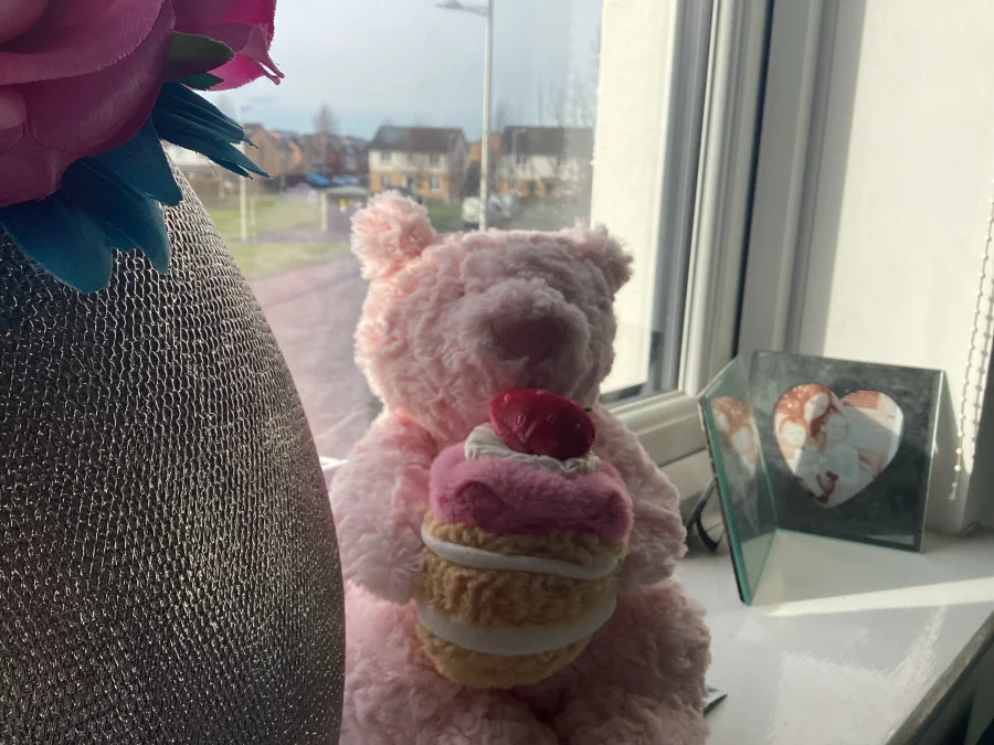 Front - Leola Bear with Strawberry Cake photo by Jellygirly