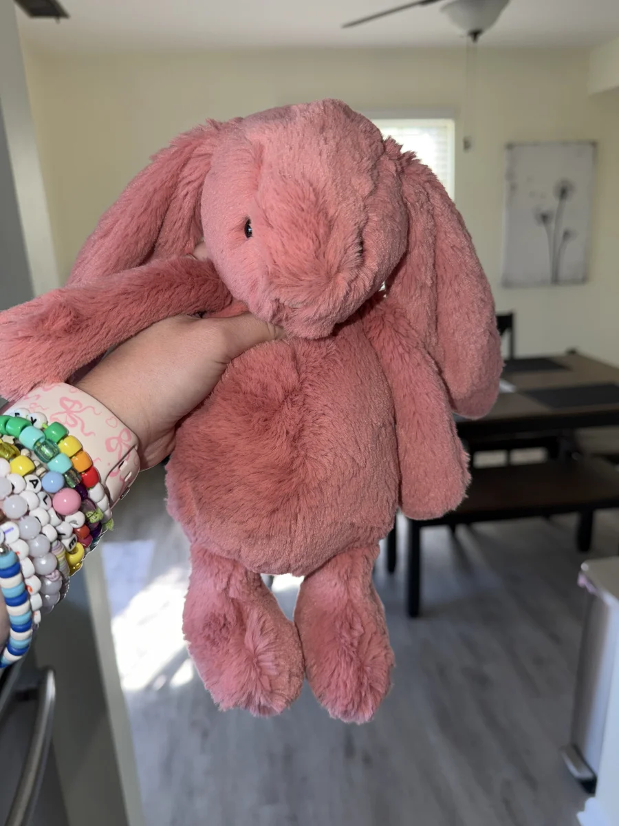 Front - Bashful Sorrel Bunny - Medium photo by alinsey