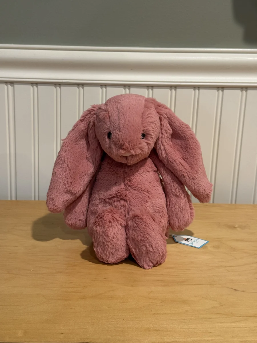Front - Bashful Sorrel Bunny - Medium photo by Bunnylove