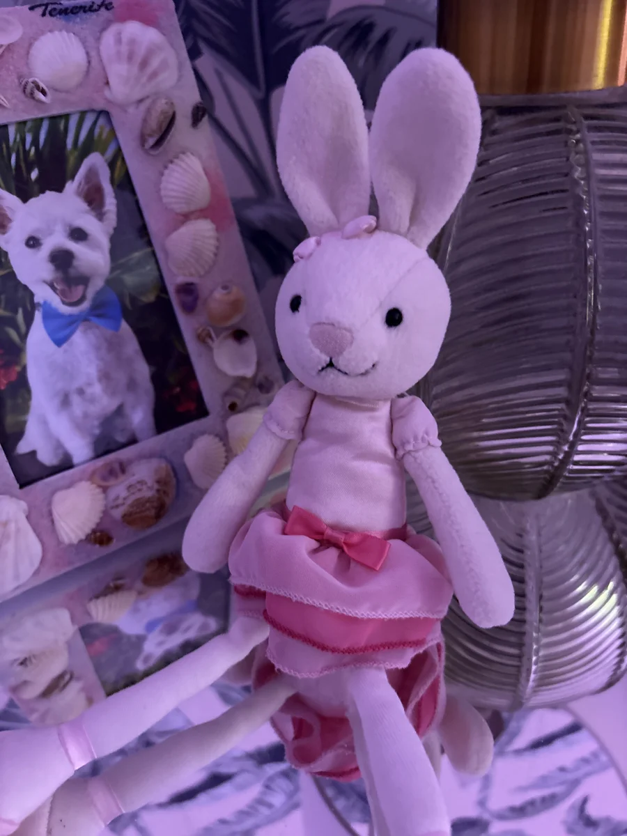 Front - Bitsy Ballerina - Small photo by Tillyjellyluv