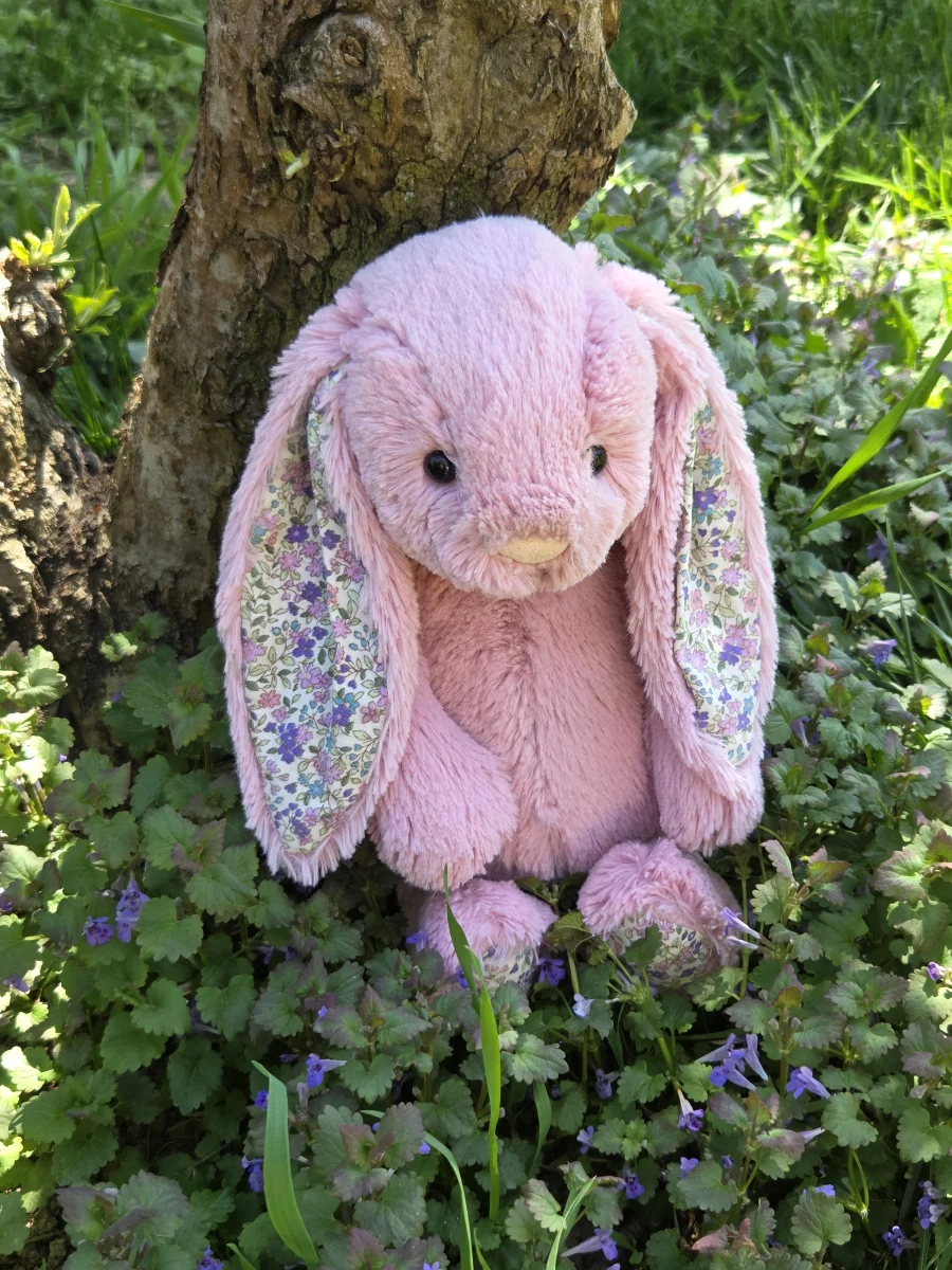 Front - Blossom Tulip Pink Bunny - Medium photo by Eliza23