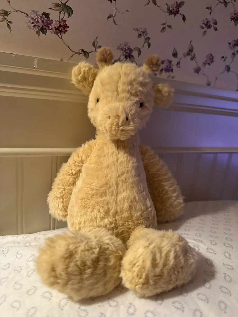 Front - Rolie Polie Giraffe photo by Sugar&Spice
