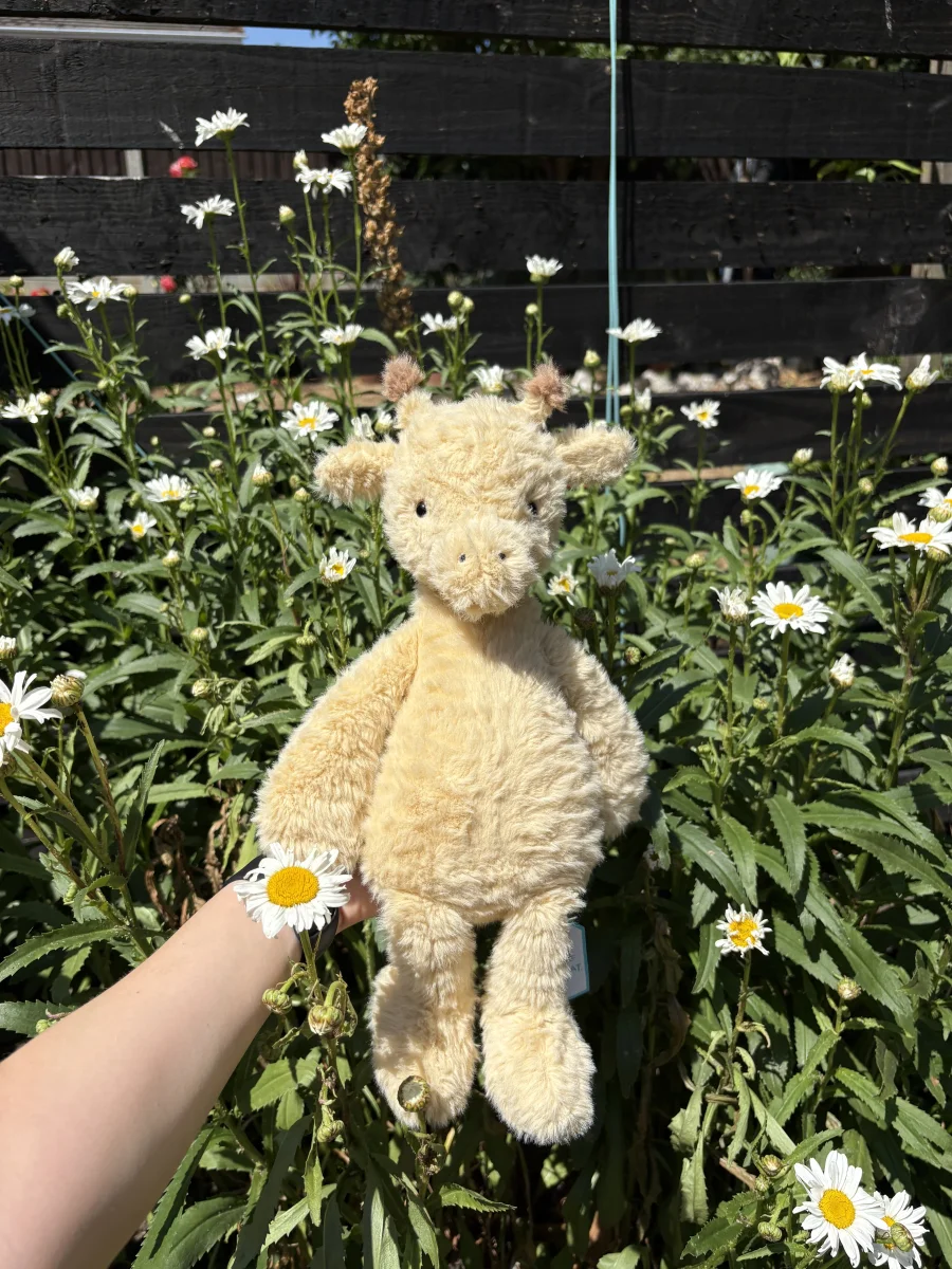 Front - Rolie Polie Giraffe photo by Smellyjellies