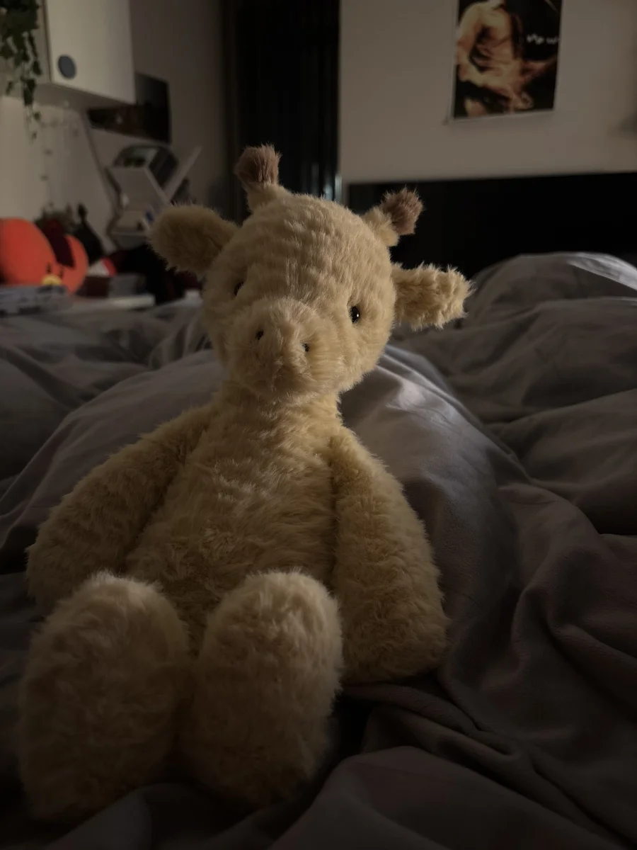 Front - Rolie Polie Giraffe photo by monki123