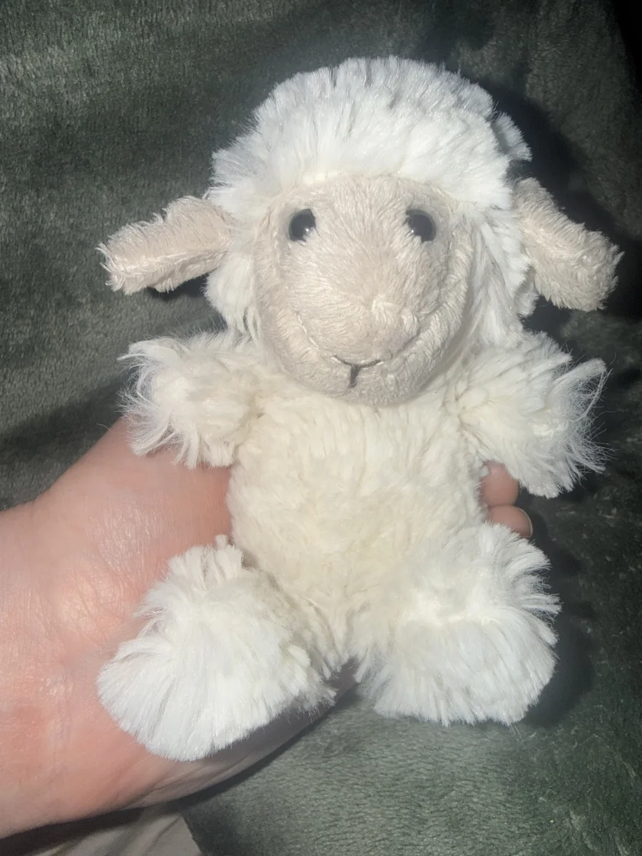 Front - Poppet Sheep photo by Aebridjellys555