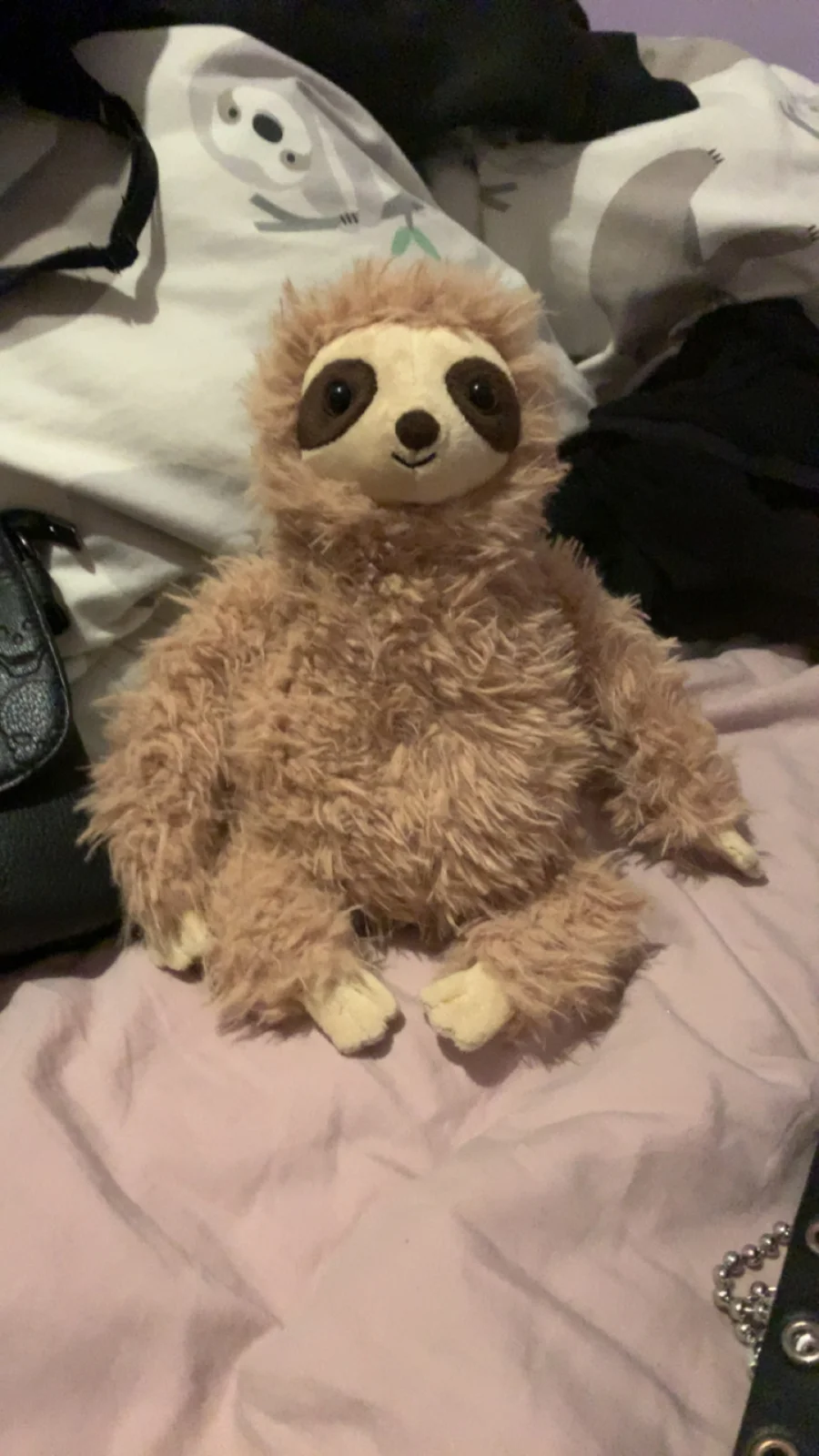Front - Selma Sloth photo by Emilysloth_17