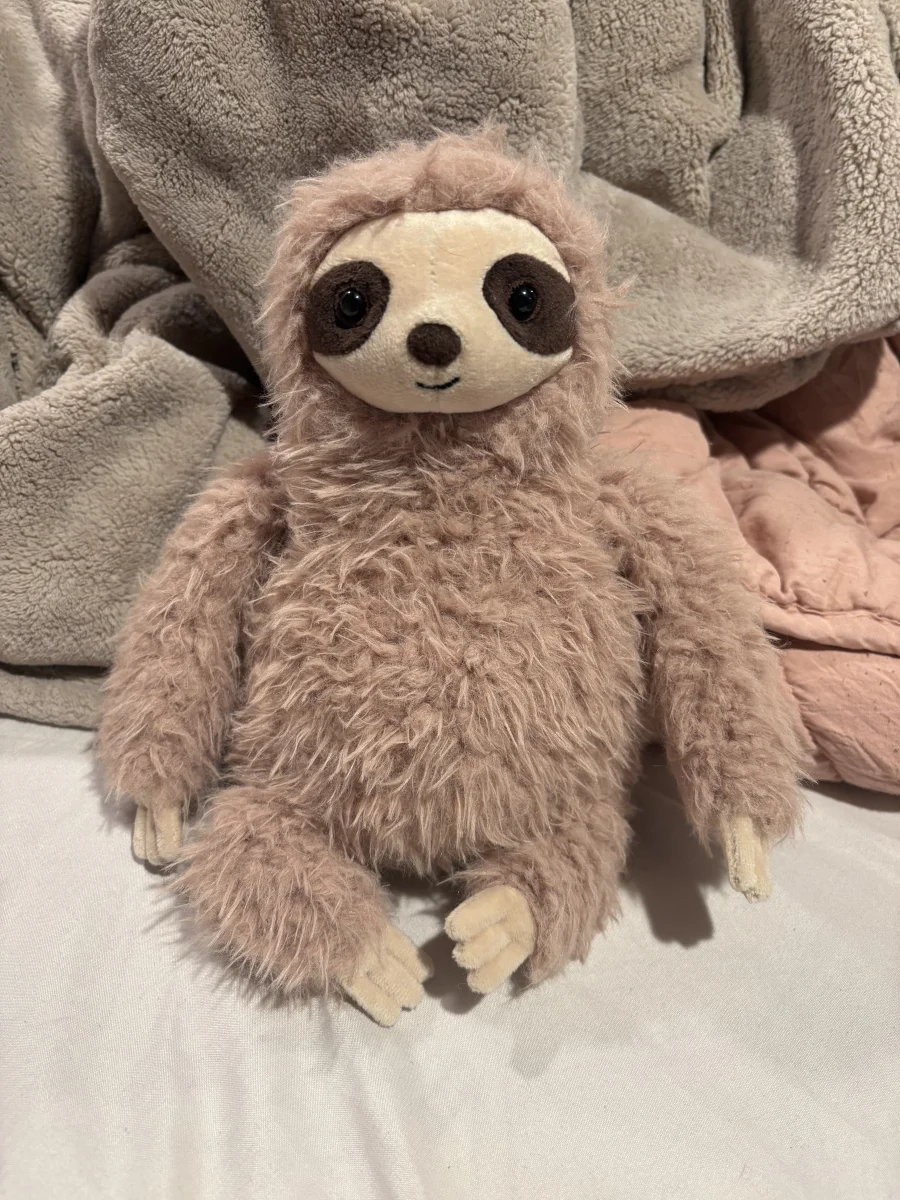 Front - Selma Sloth photo by Lex_suckow