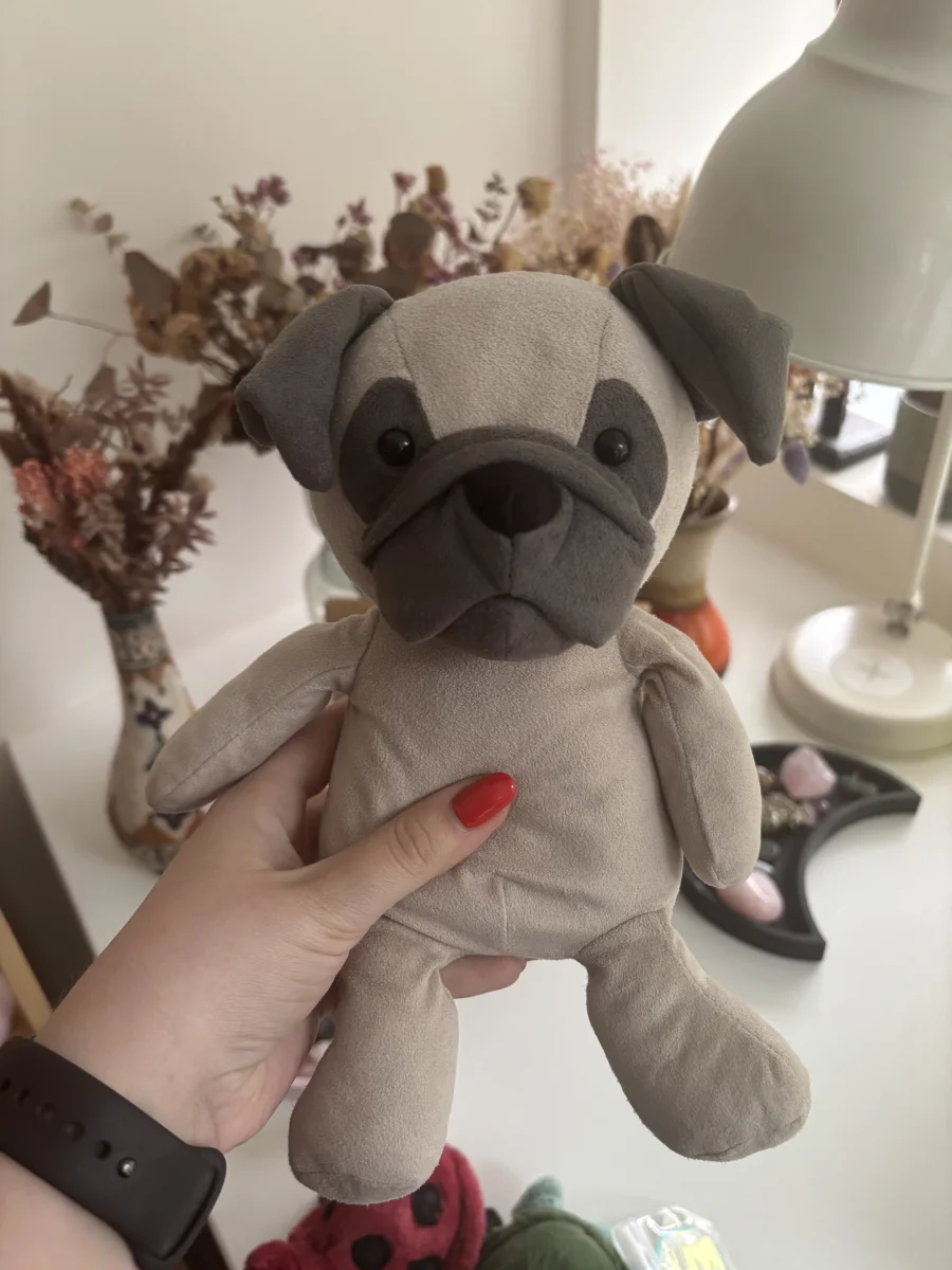 Front - Pablo Pug photo by the_jelly_jungle