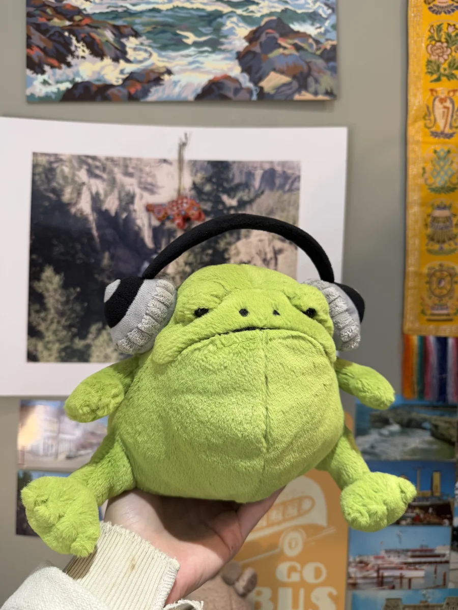 Front - Ricky Rain Frog Headphones photo by amandamariejelly