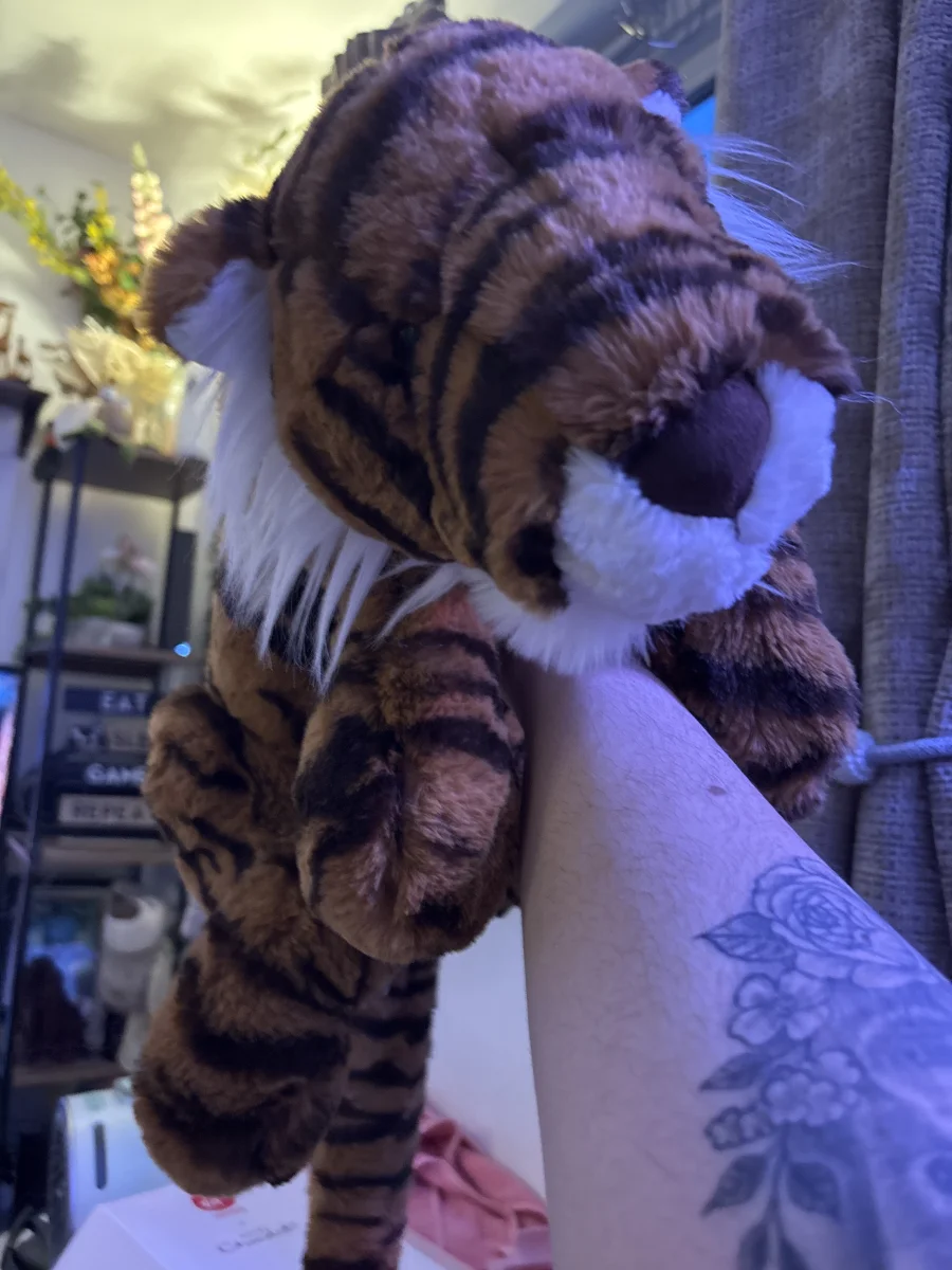 Front - Tia Tiger - Large photo by sablelovesjelly