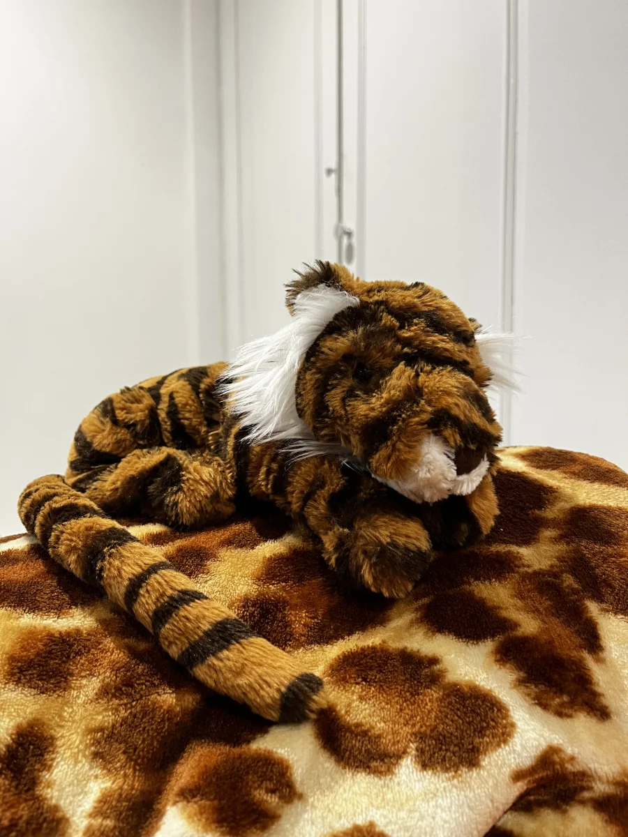 Front - Tia Tiger - Little photo by wolfgore