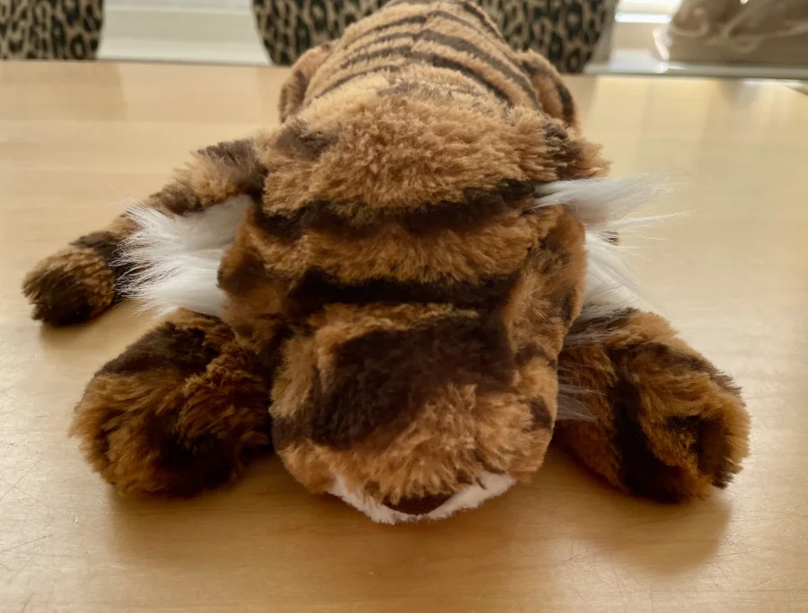 Front - Tia Tiger - Little photo by Mimi_67