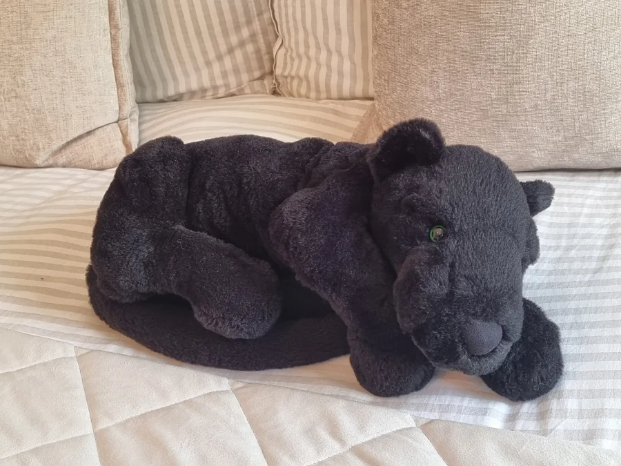 Side - Paris Panther - Large photo by Pachicat