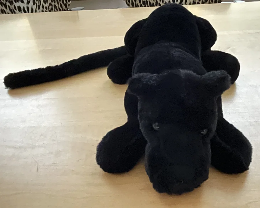 Front - Paris Panther - Little photo by Mimi_67